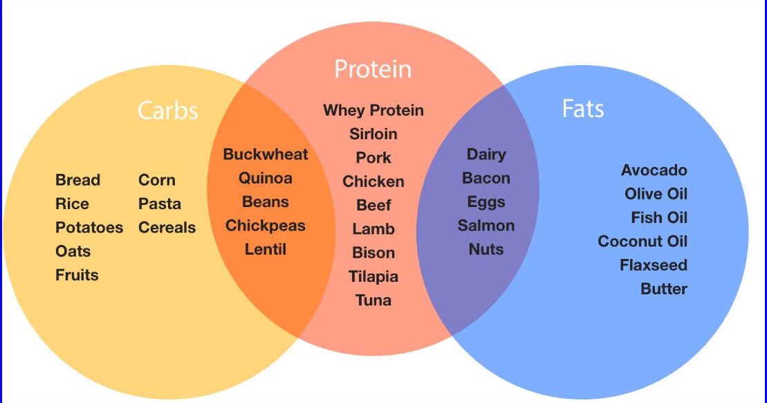 Macronutrient Calculator