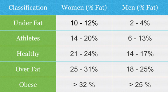 Body Fat Calculator